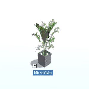 MicroVista
