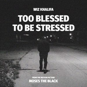 Too Blessed to Be Stressed (Single)