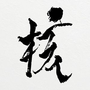 THE CORE - 核