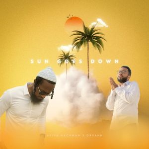 Sun Goes Down (Single)