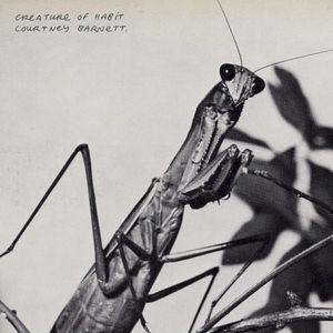 Site Unseen (Single)