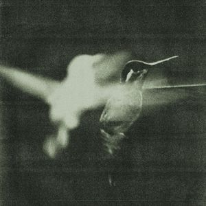 Whisper (Single)
