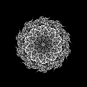 Seer (Single)