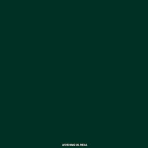 NOTHING IS REAL (Single)