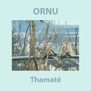 Thamaté