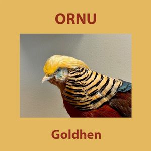 Goldhen
