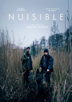 Nuisible