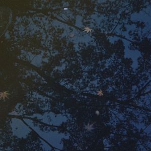 Watermirror (Single)