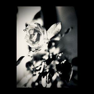 MYTH (Single)