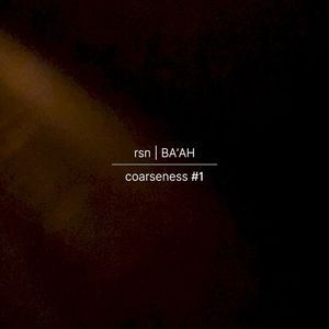 coarseness #1