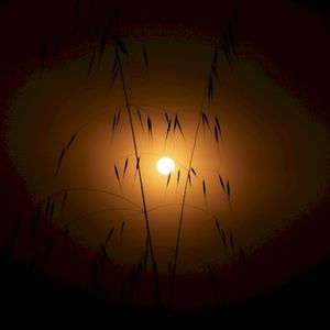 Sunrise (Single)
