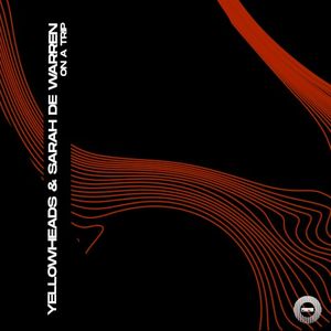 On a Trip (Peak Mode Mix) (Single)