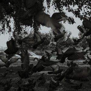 Reborn (Single)