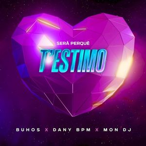 Serà perquè t'estimo (Single)