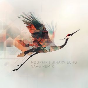 Binary Echo (VAAG remix)