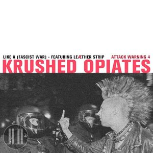 (Like) A Fascist War (Single)