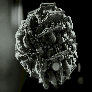 Tungsten Veil (Single)