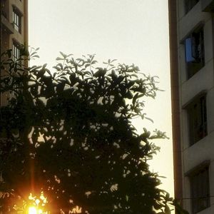 Pure Essence (Single)