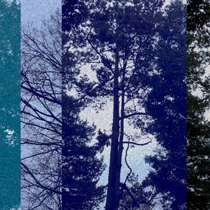 Residual Texts (Single)
