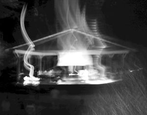 Ecotone (Live)