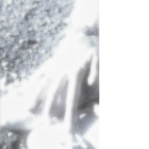 41 (Single)