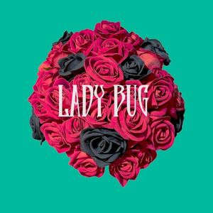 LADY BUG