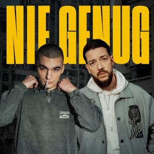 Nie genug (Single)