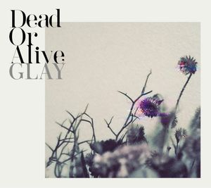 Dead Or Alive (Single)
