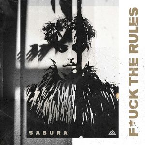 Fuck the Rules (Single)