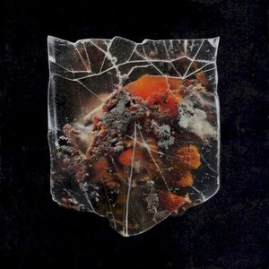 Death & Connection