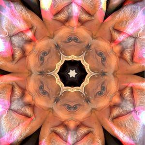 Desperate Measures (Single)