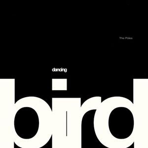 Dancing Bird (Single)