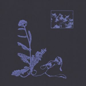 Space Ballad (Single)