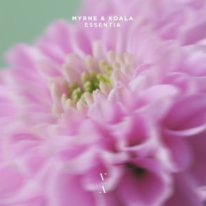 Essentia (Single)