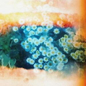 Amber Hours (Single)