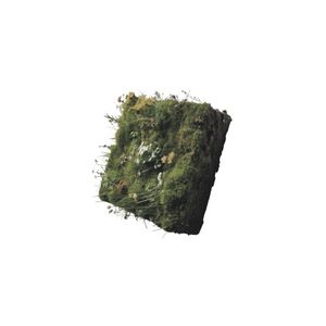Confined White (EP)