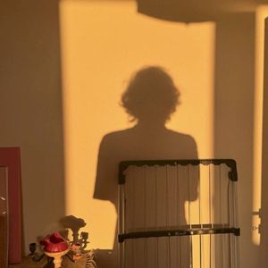 introvertiert (Single)