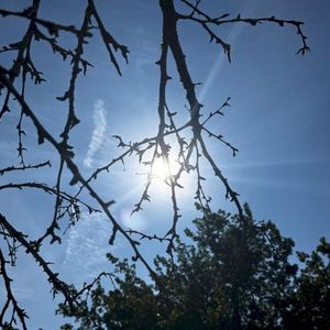 Move differently (Single)