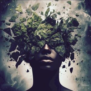 Wild (Single)