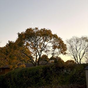 The Sun Feels Different in September (Single)