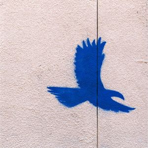 The Wall (Single)