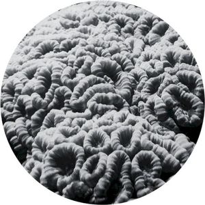 LAQ 01 (EP)