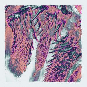 Canines (EP)