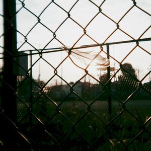光 (Single)