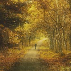 Lãng đãng (Single)