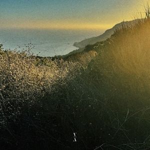 Free (Single)