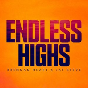 Endless Highs (Single)