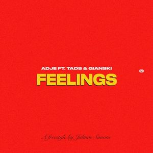 feelings (Single)