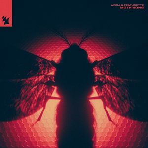 Moth Song (Single)