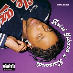 Attached (Single)